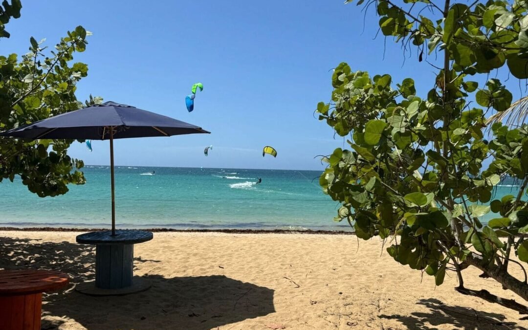 Comment lire la mer : vagues, vent et marées pour les débutants en sports nautiques